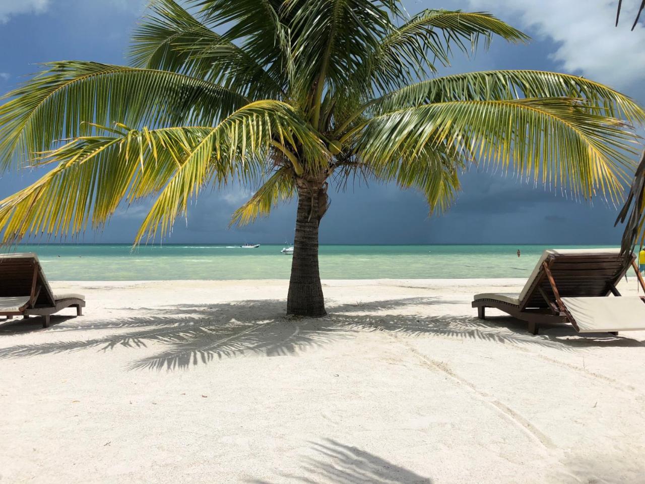 El Corazon Boutique Hotel - Adults Only With Beach Club Pass Included Holbox Eksteriør billede