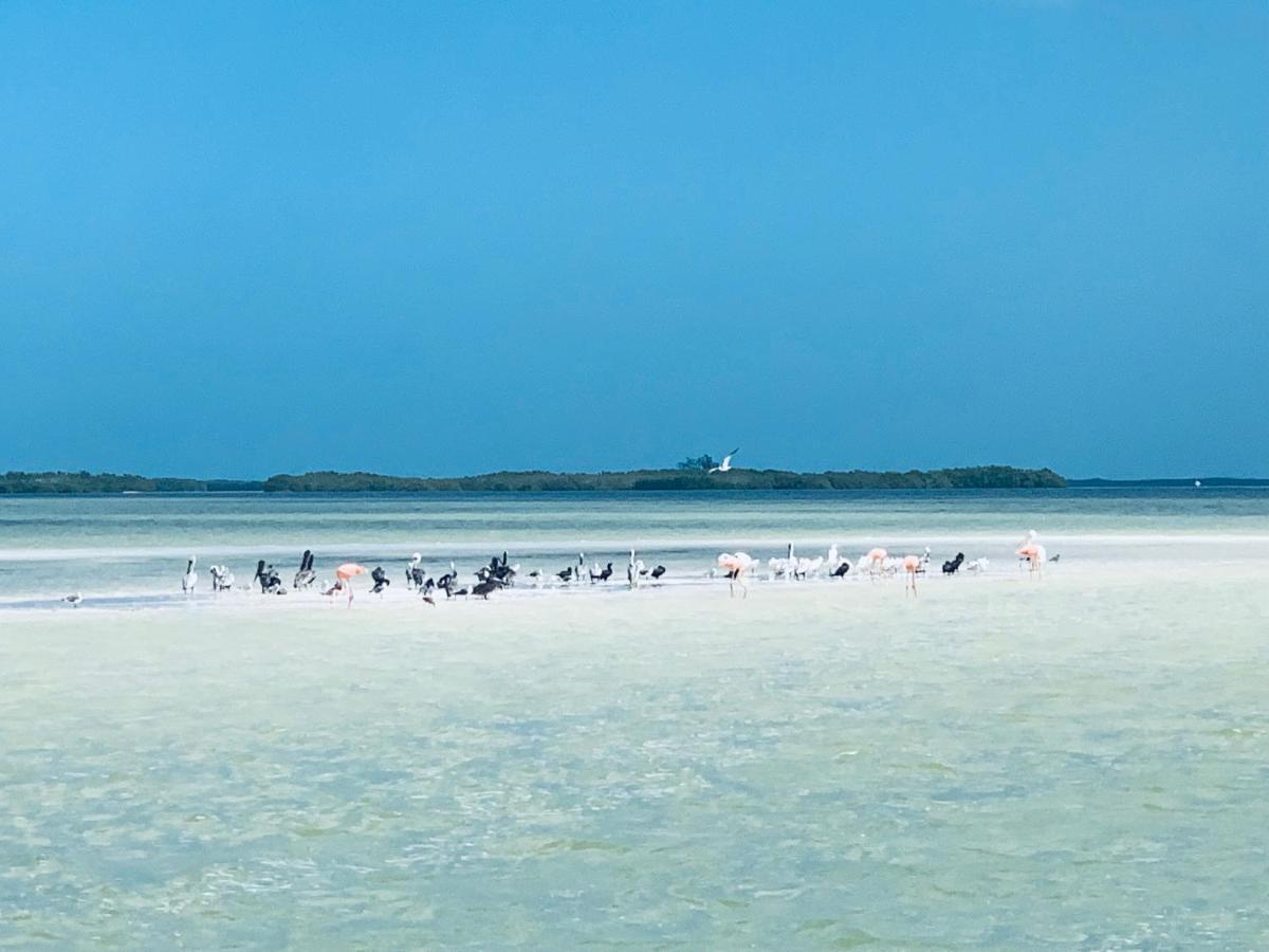 El Corazon Boutique Hotel - Adults Only With Beach Club Pass Included Holbox Eksteriør billede